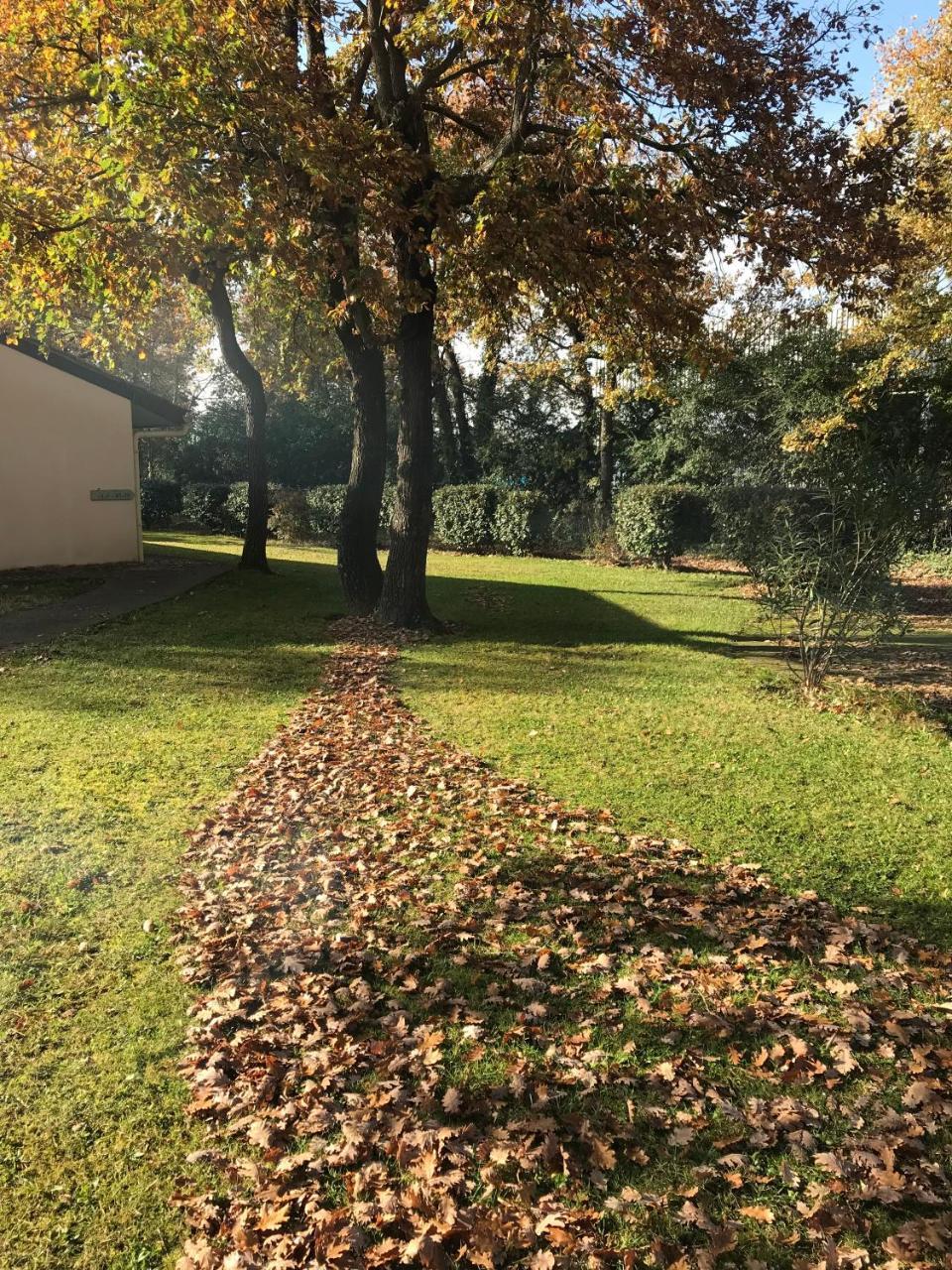 Résidence Thibaud Toulouse Exterior foto